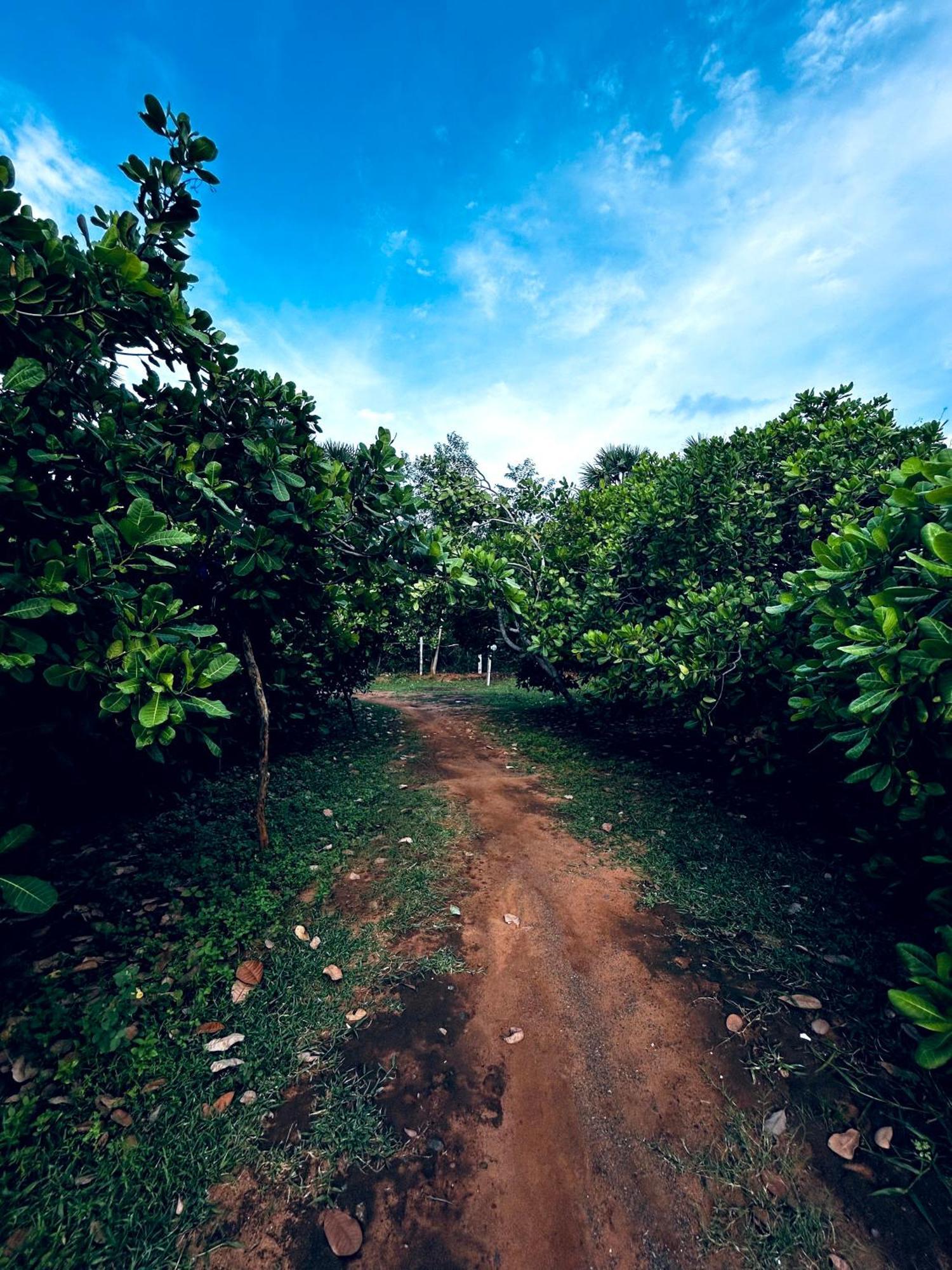 Boomerang Community Auroville Exterior photo