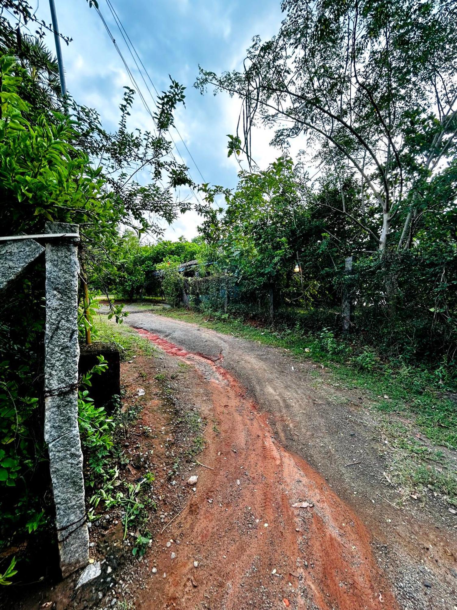 Boomerang Community Auroville Exterior photo