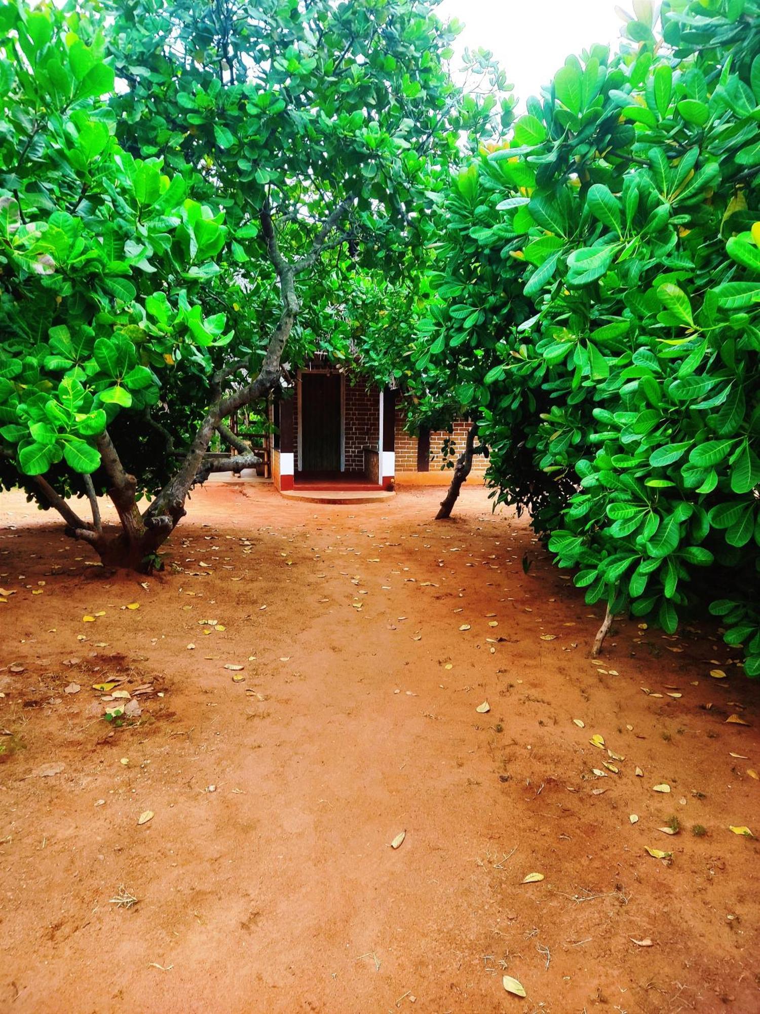 Boomerang Community Auroville Exterior photo
