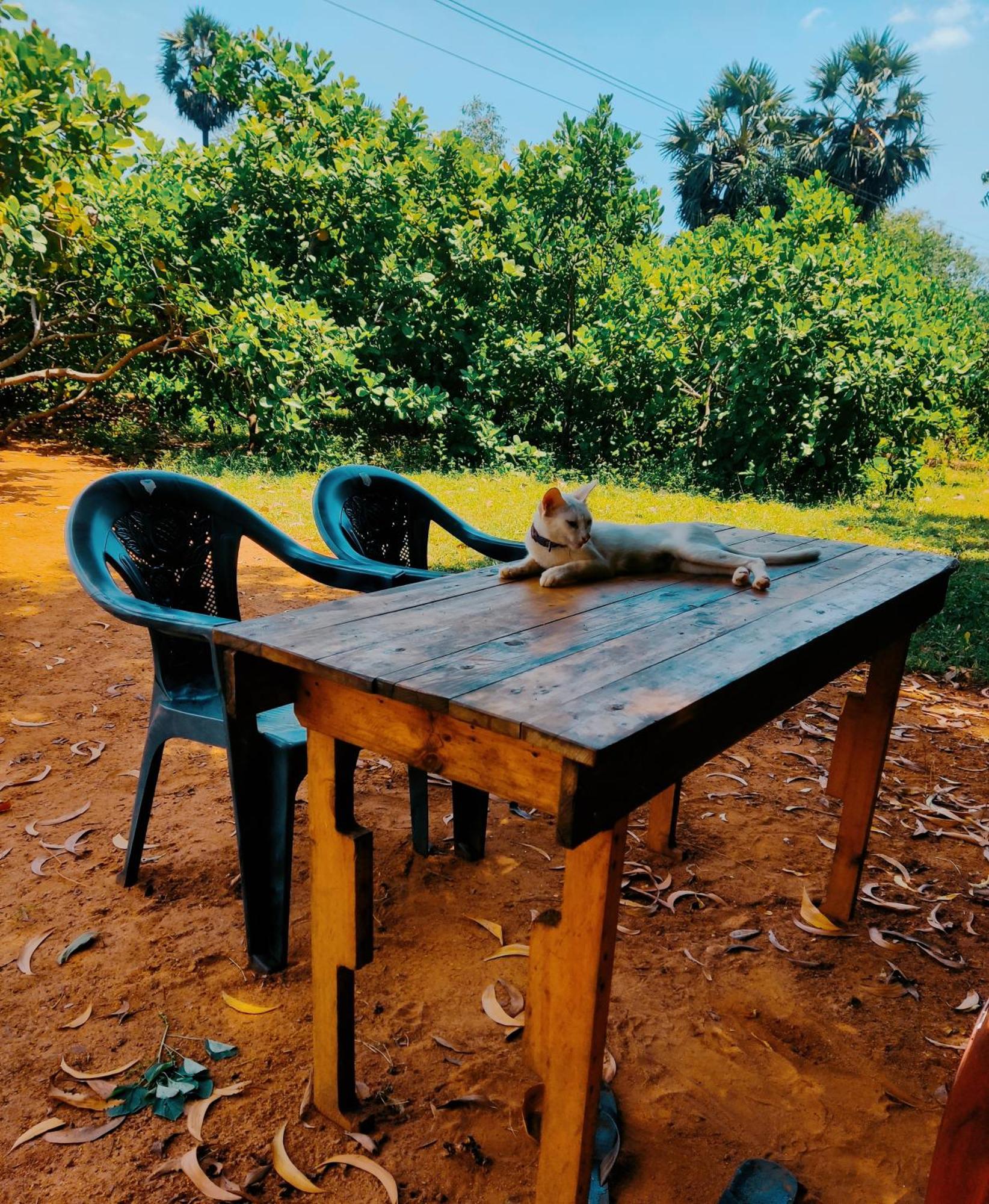 Boomerang Community Auroville Exterior photo