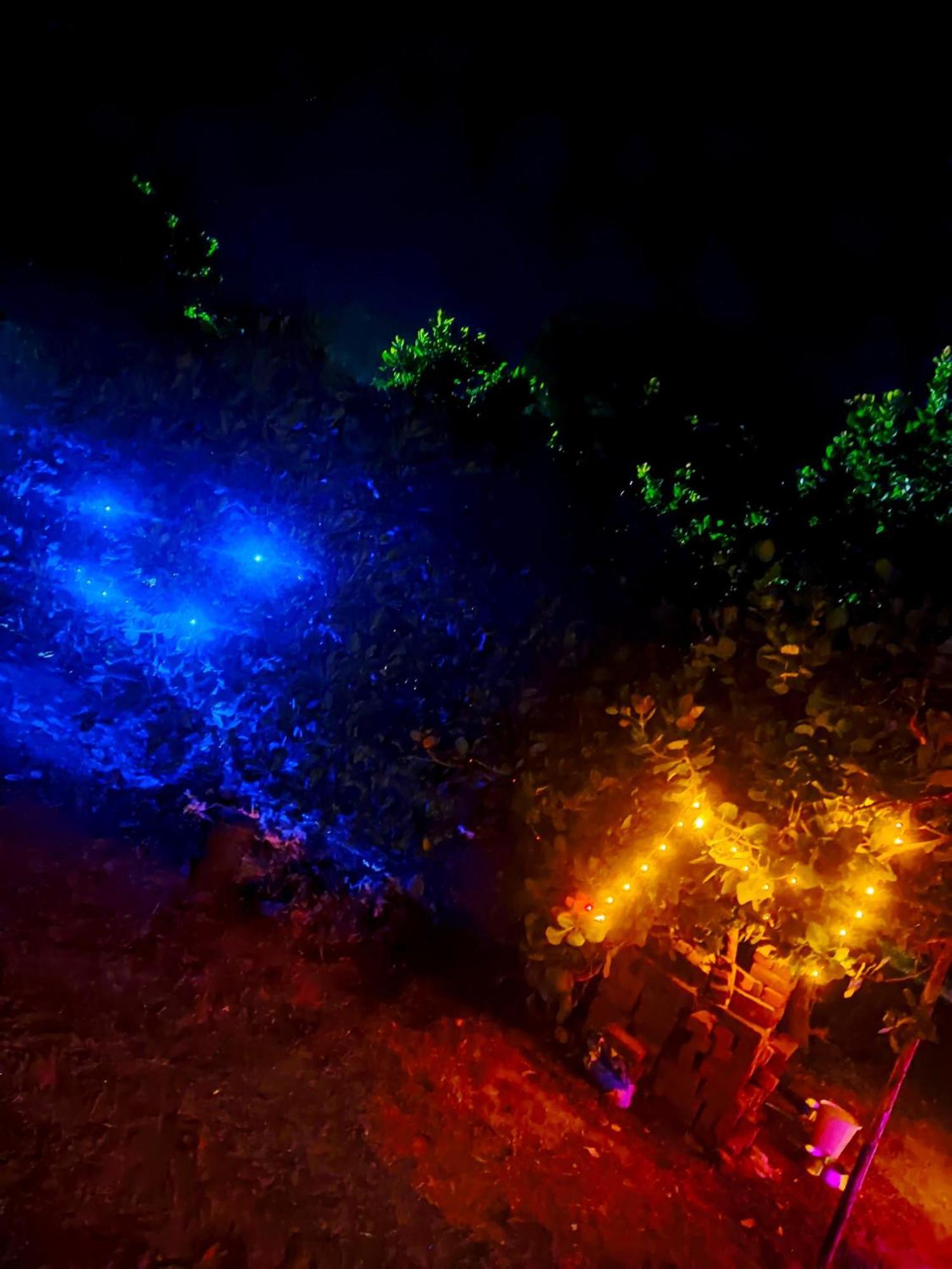 Boomerang Community Auroville Exterior photo