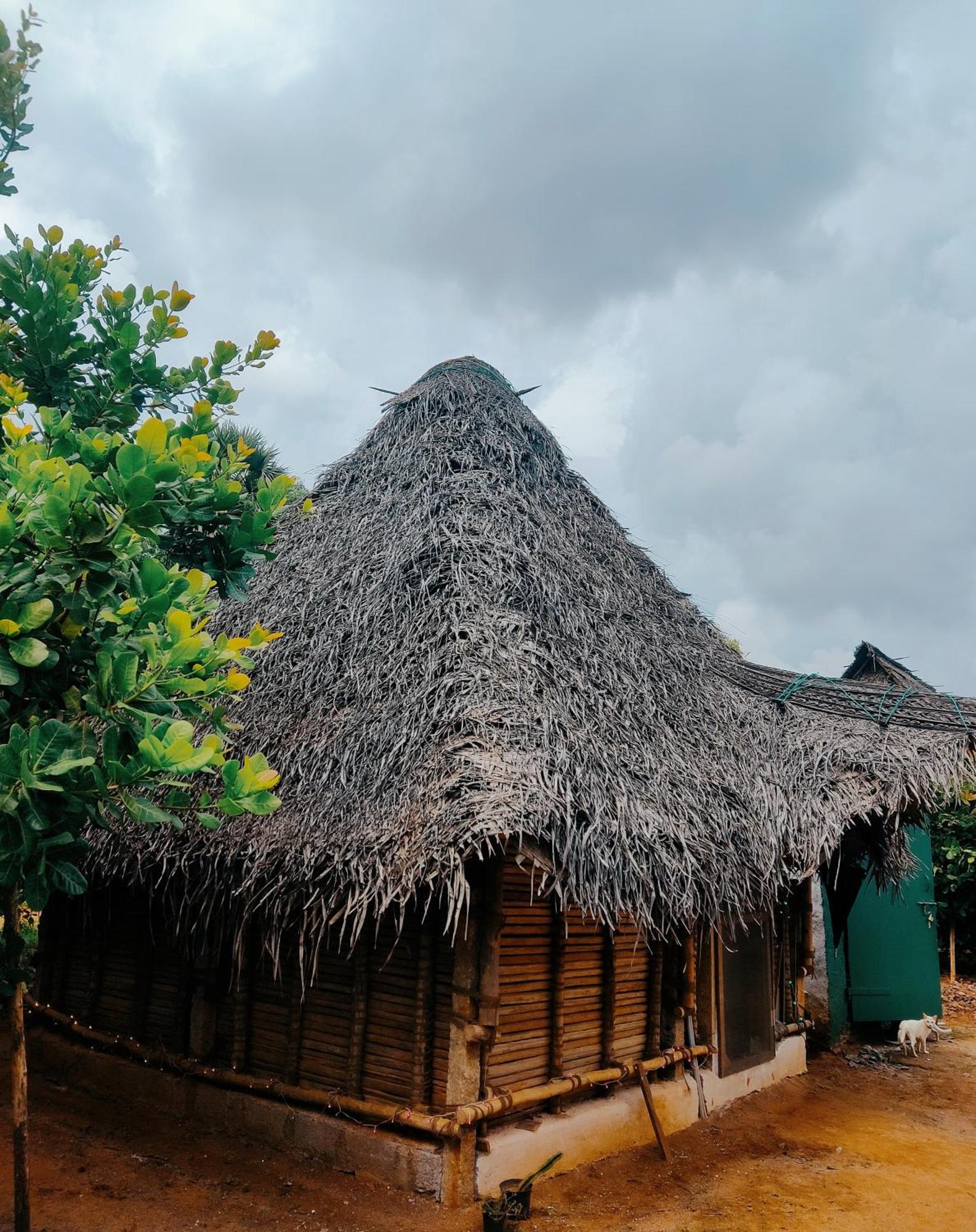 Boomerang Community Auroville Exterior photo
